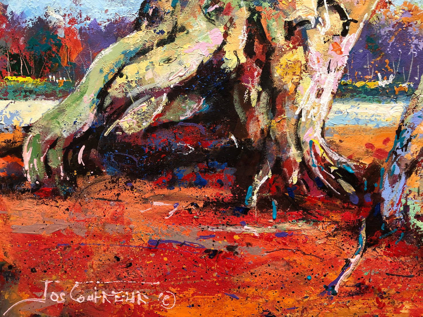 Gascoyne Gums - Australian Gumtrees