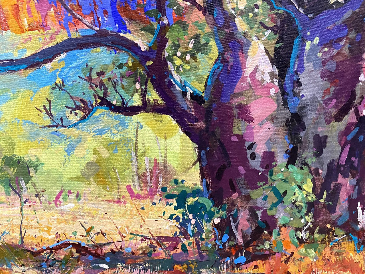 Gibb River Road - Australian Landscape