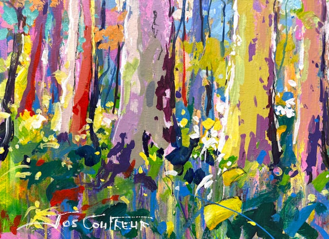 Forest 14