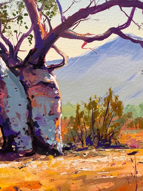 Boab Trees 49