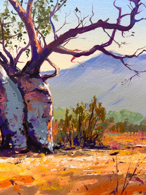 Boab Trees 49