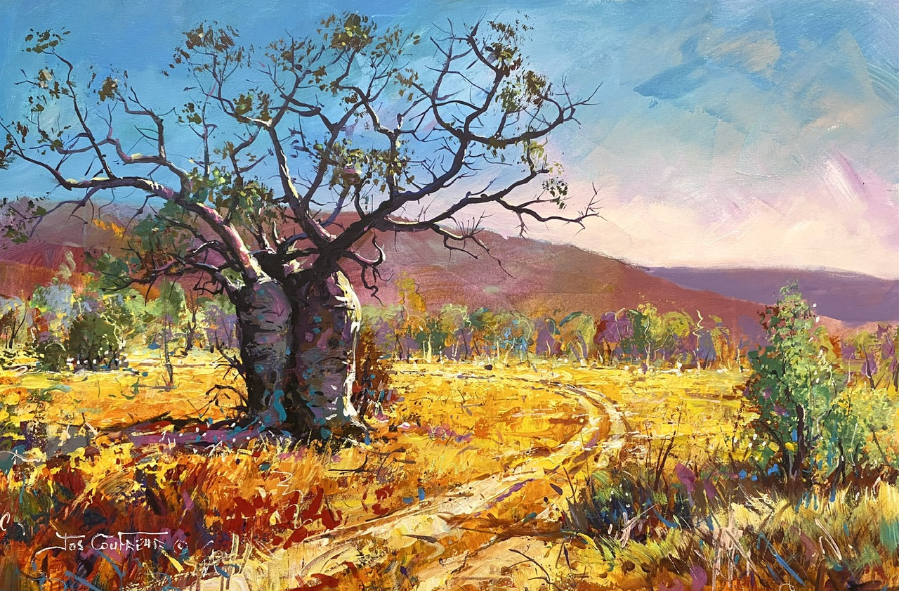 Boab Trees 41