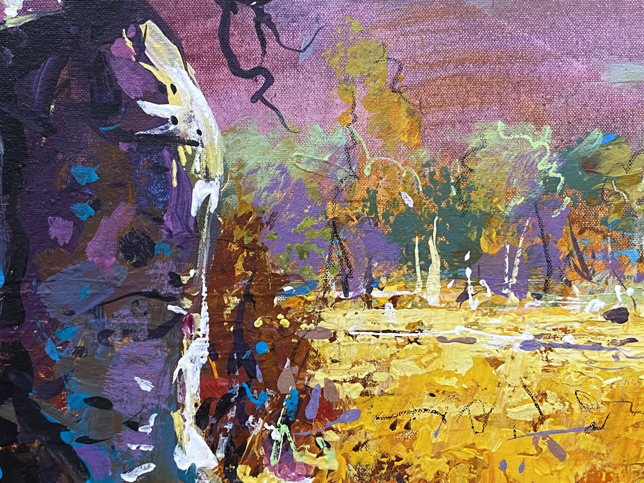 Boab Trees 41
