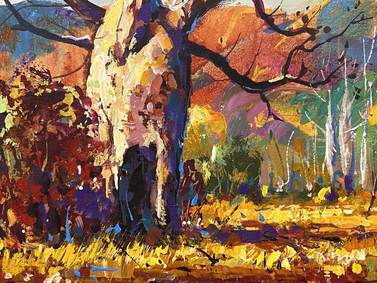 Boab Trees 42