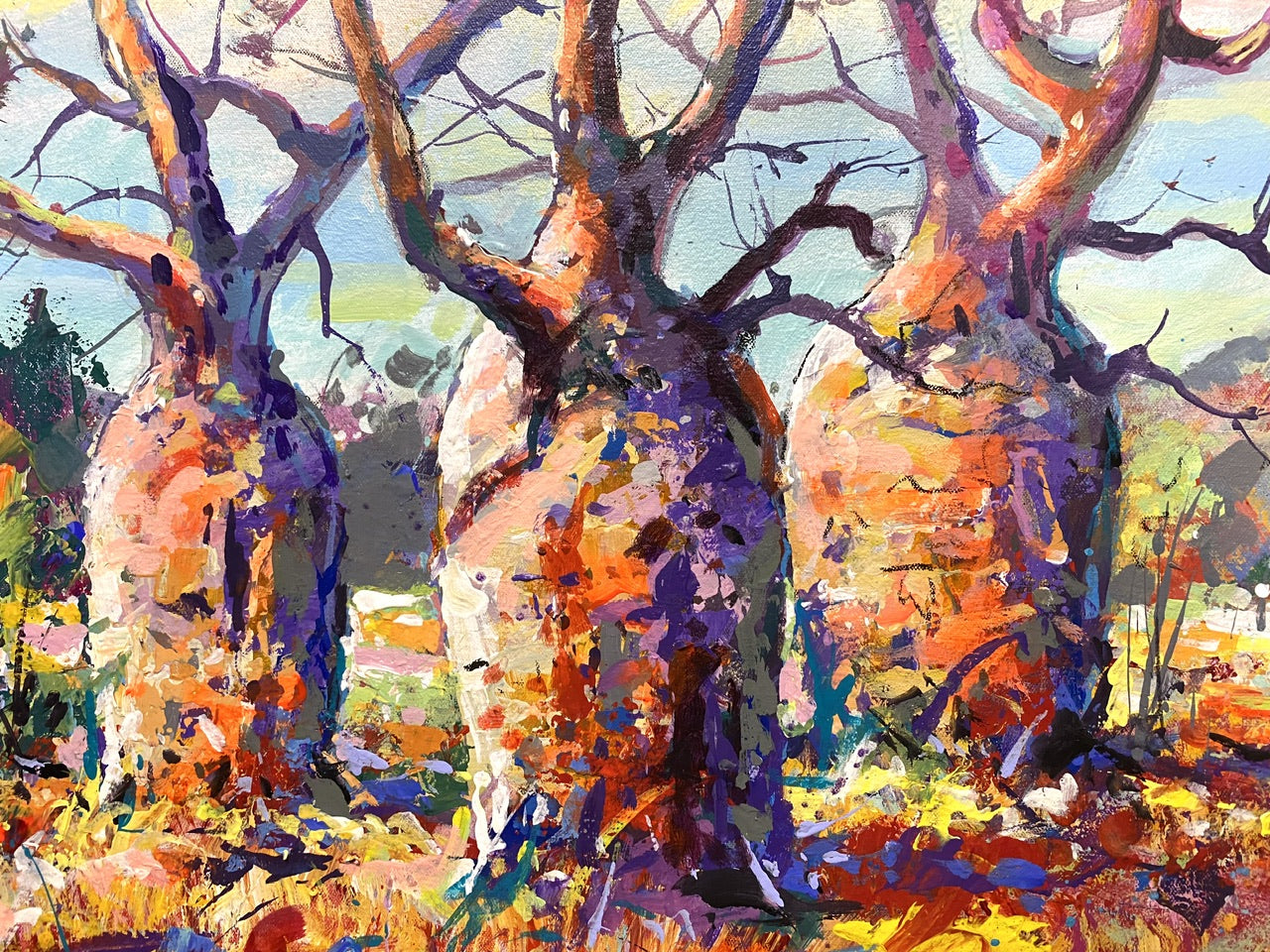 Boab Trees 43