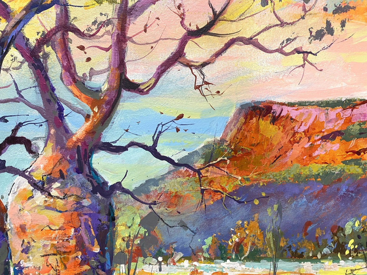 Boab Trees 43
