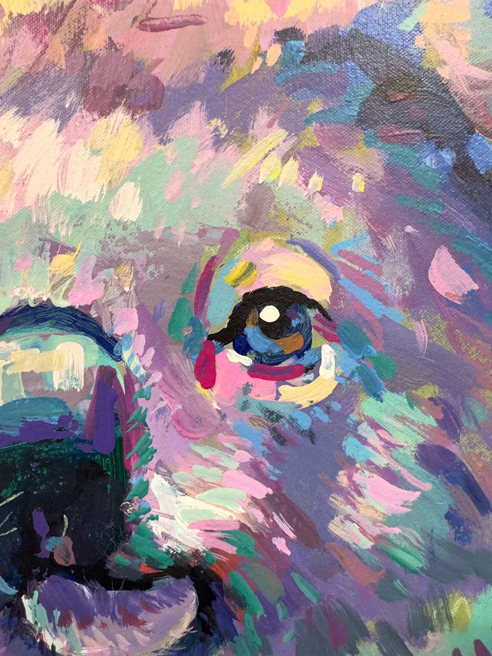 Koala 23