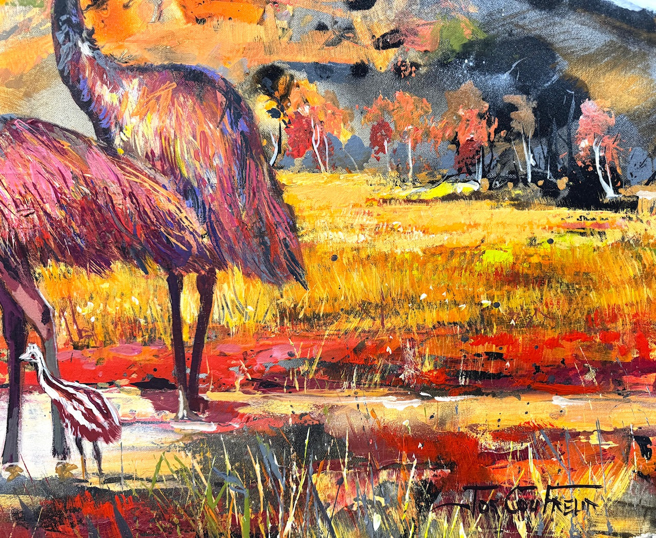 Emu Family in the Kimberley
