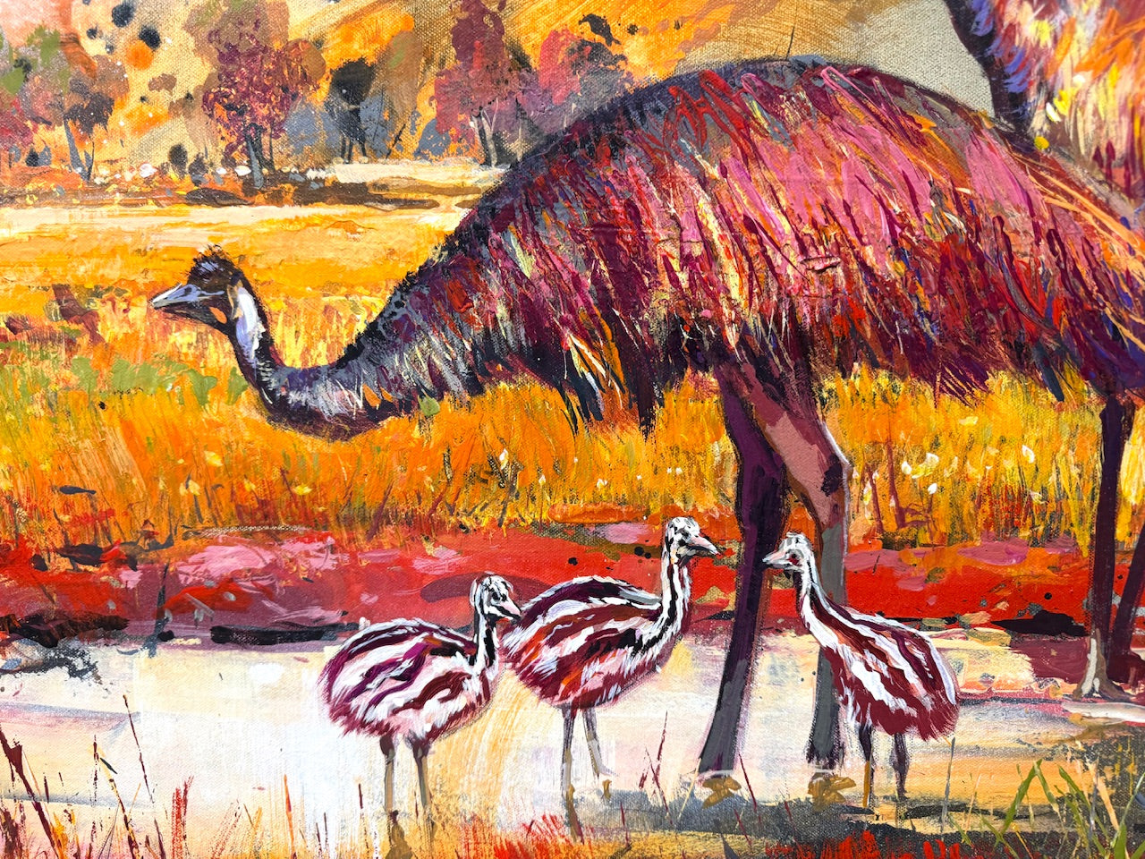 Emu Family in the Kimberley