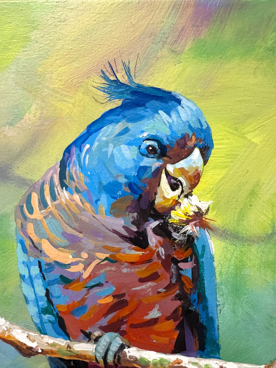 Cockatoo