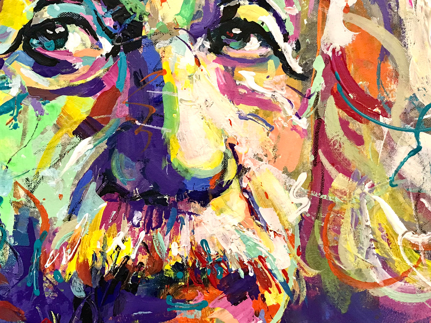 Albert Einstein 8