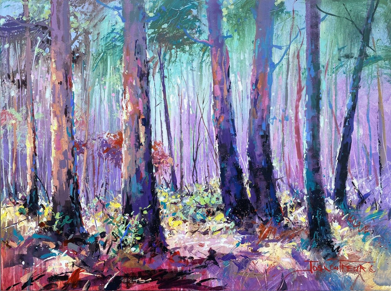 Forest 5