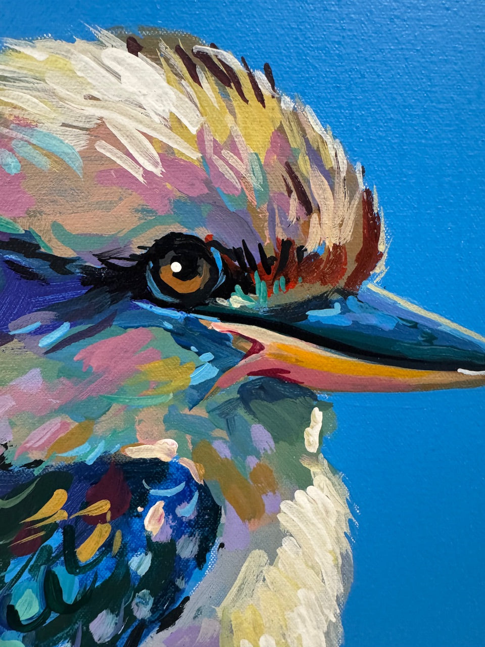 Three Kookaburras III