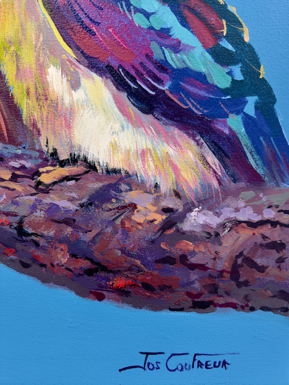 Three Kookaburras #4