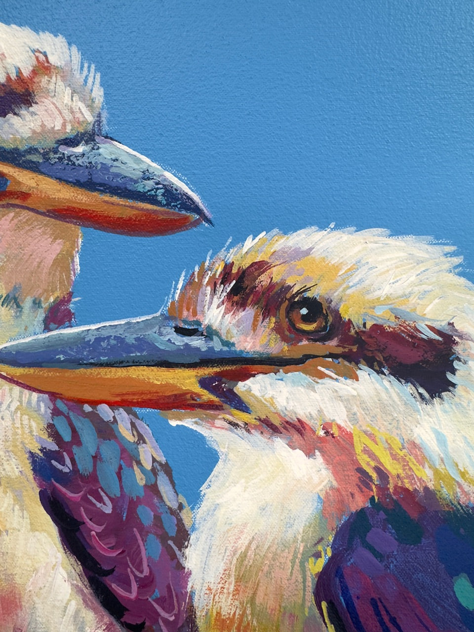 Three Kookaburras #4