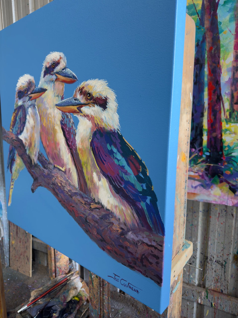 Three Kookaburras #4