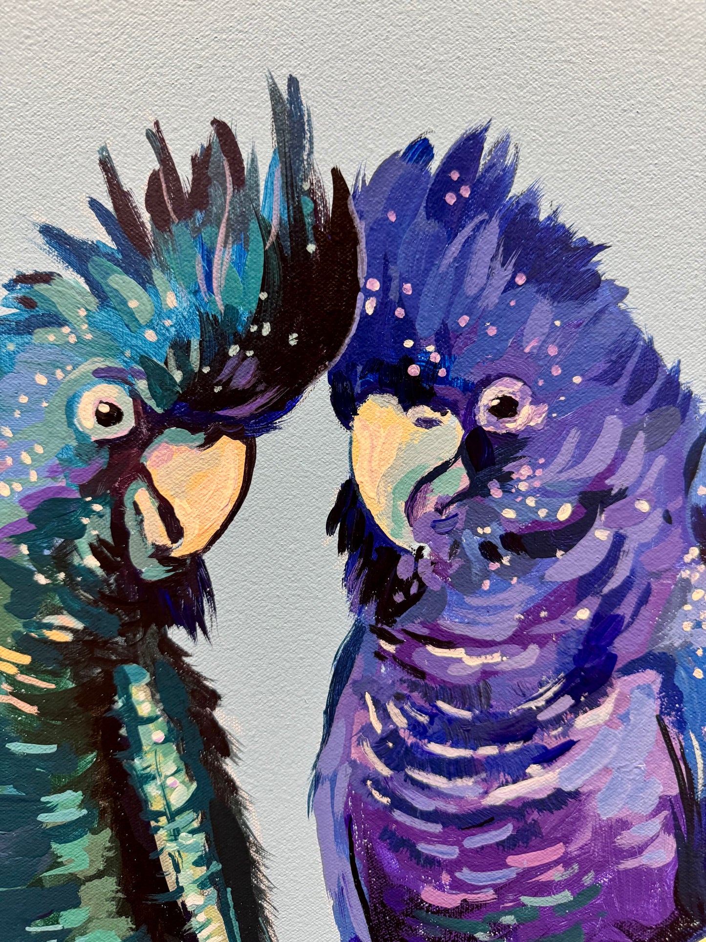Red-tailed Black Cockatoos