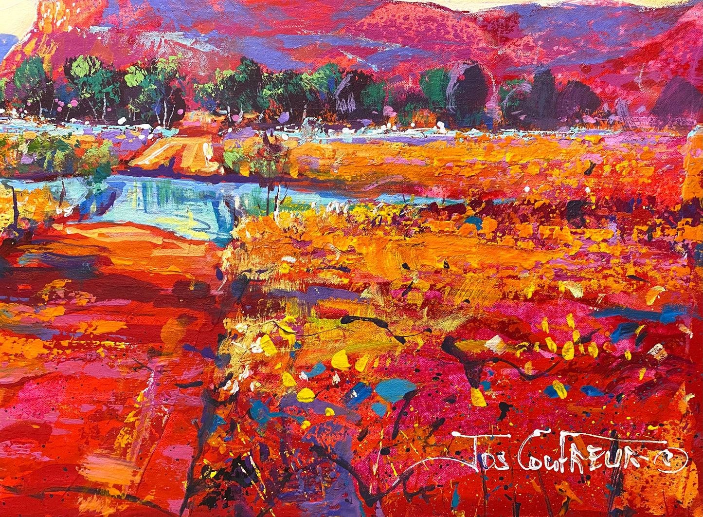Boab Trees 46