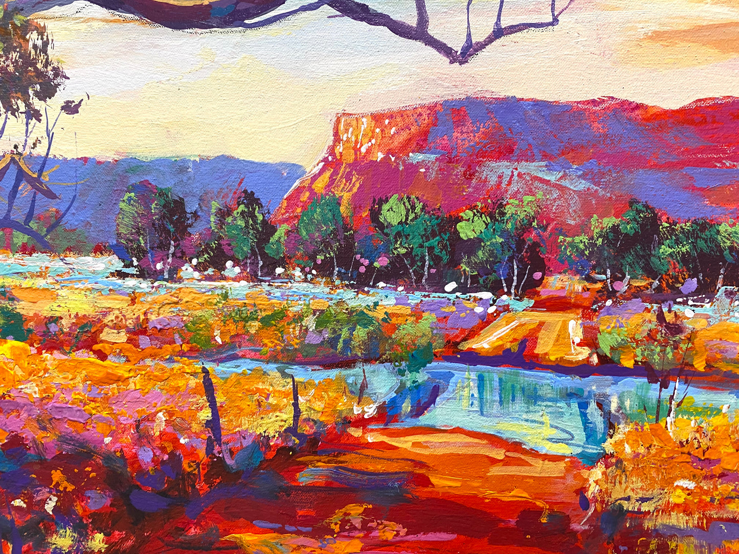 Boab Trees 46