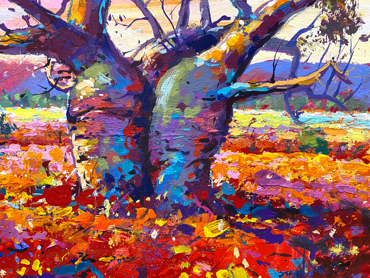 Boab Trees 46