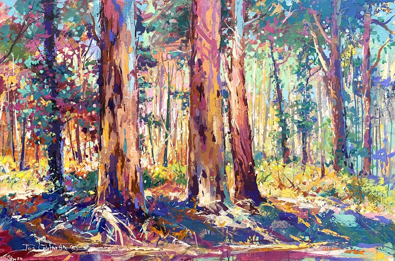 Boranup Forest 10