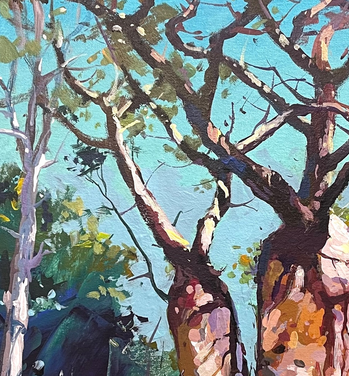 Boab Trees 40