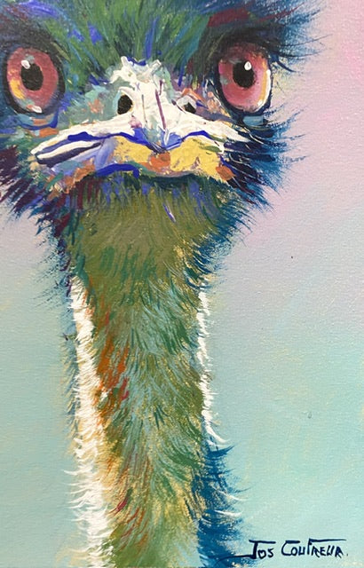 Pair of Emu’s - #3