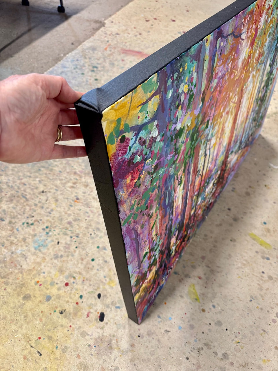 Road through the Forest 23