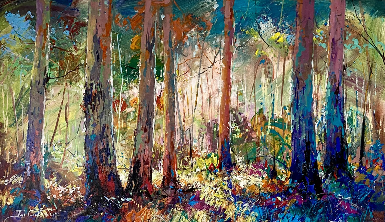Boranup Forest 9