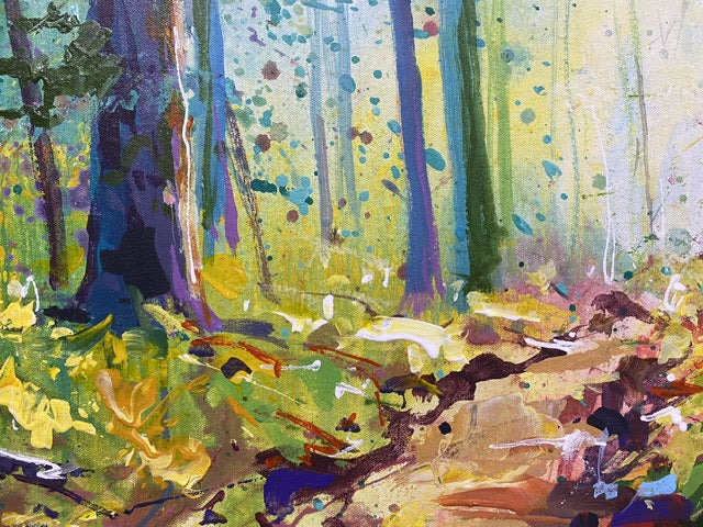 Road through the Forest 6