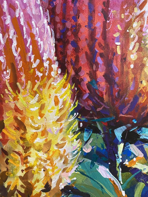 Bloom - Banksia
