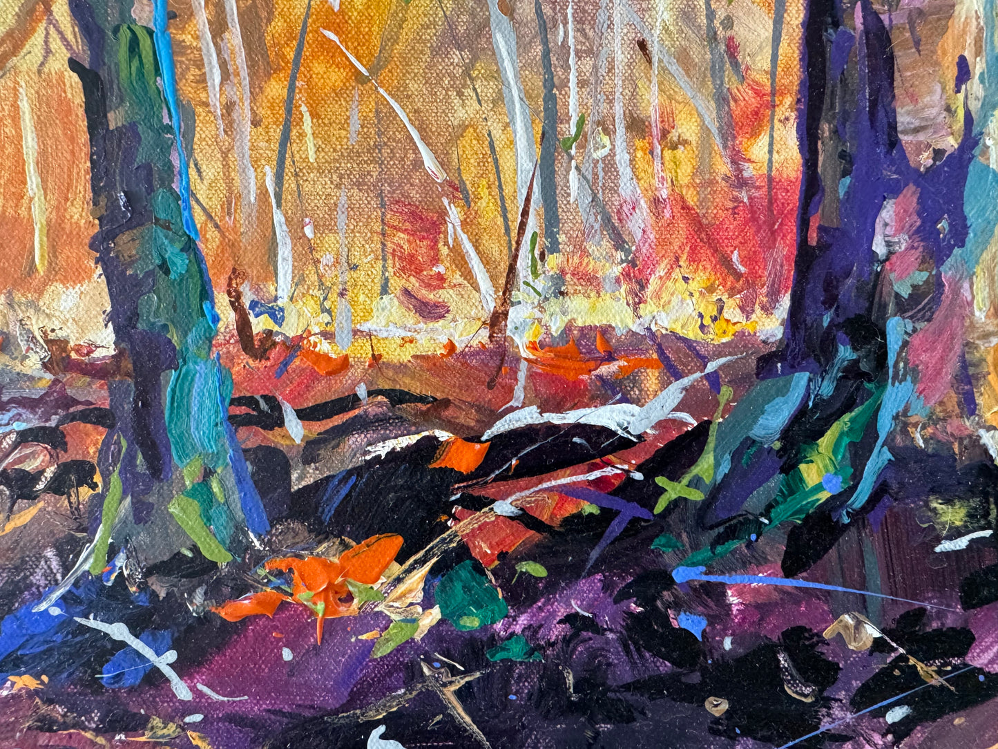 Forest Creek 3