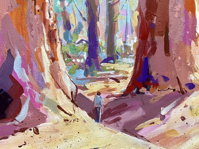 Redwood Forest 2 - USA