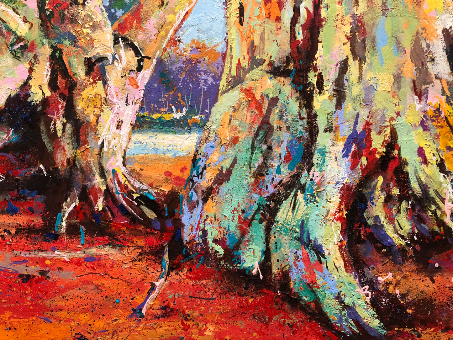Gascoyne Gums - Australian Gumtrees