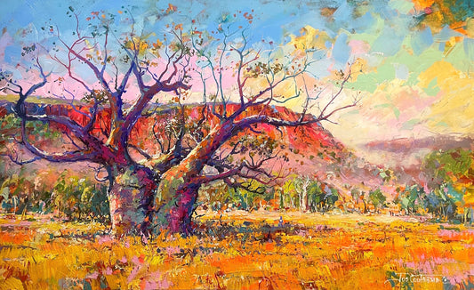 Boab Tree at Cockburn Ranges, Australia