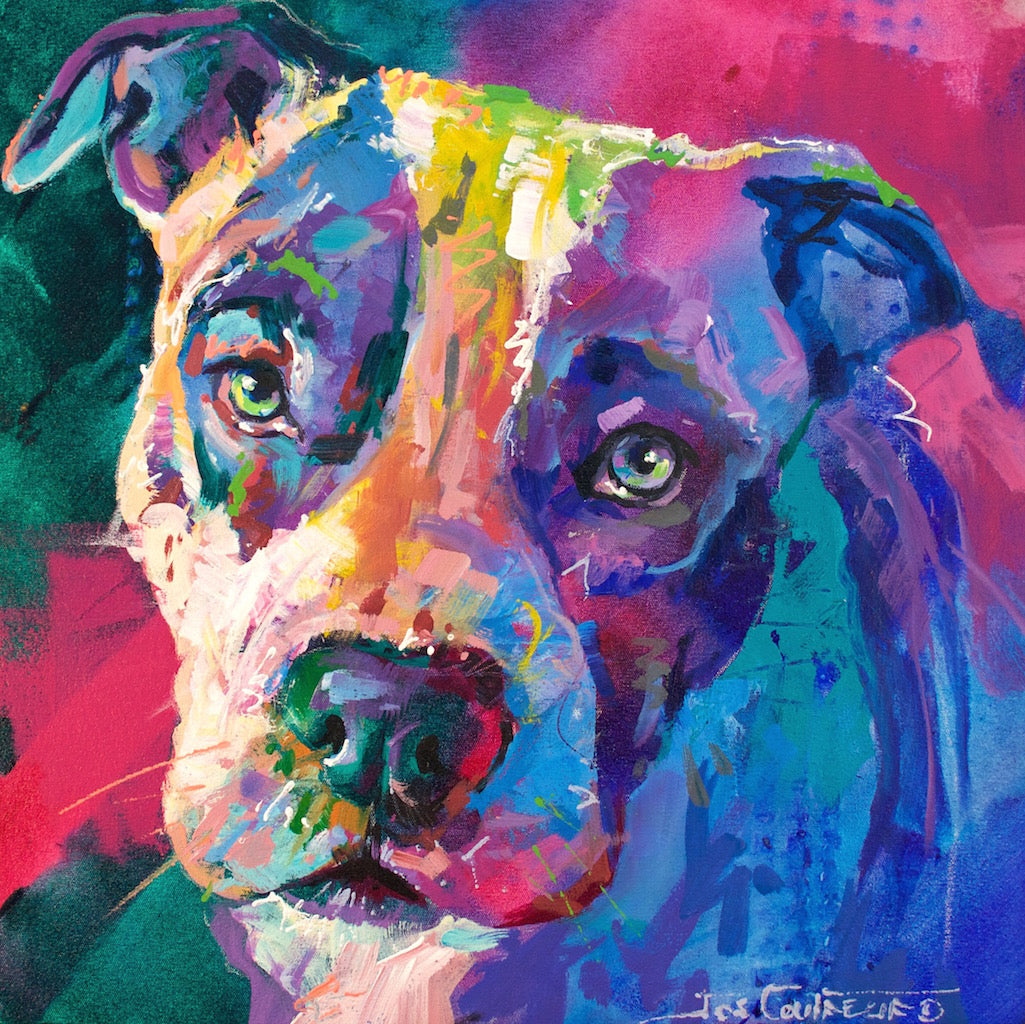 American Staffordshire Terrier