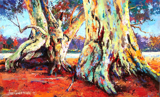 Gascoyne Gums - Australian Gumtrees