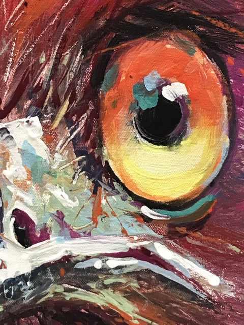 Emu 113