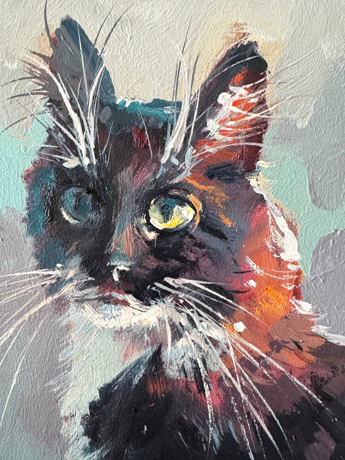 Black and White Cat
