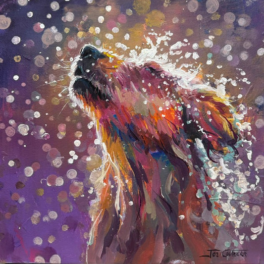 Splash of Joy