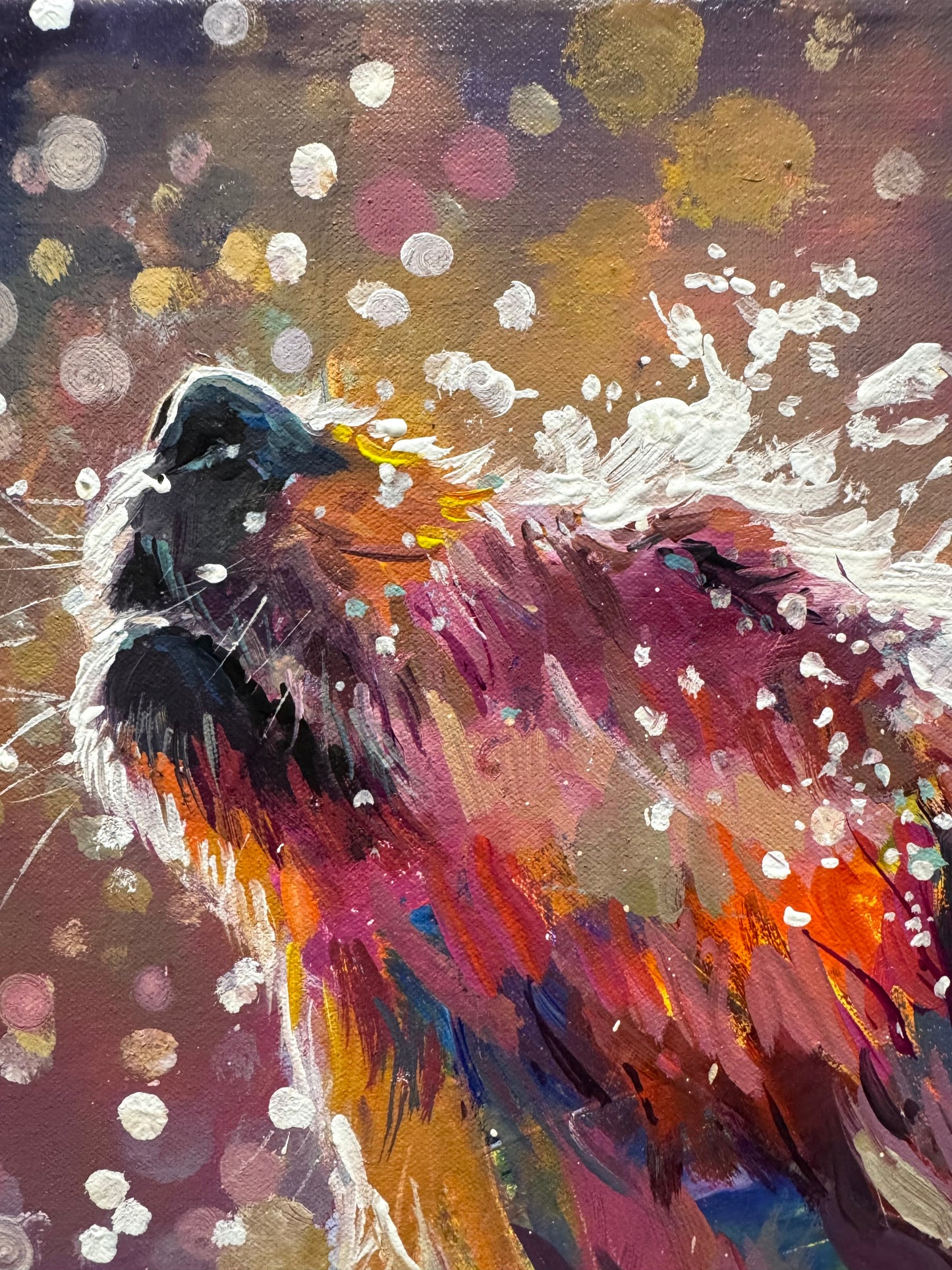 Splash of Joy