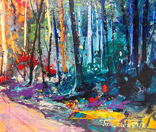 Road through the Forest 12