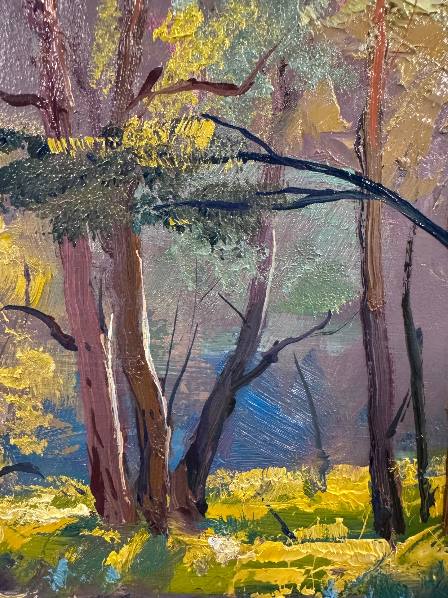 Boyanup - Plein Air