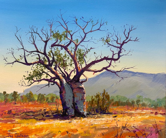 Boab Trees 49
