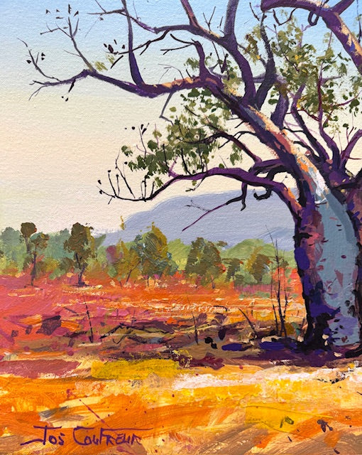 Boab Trees 49