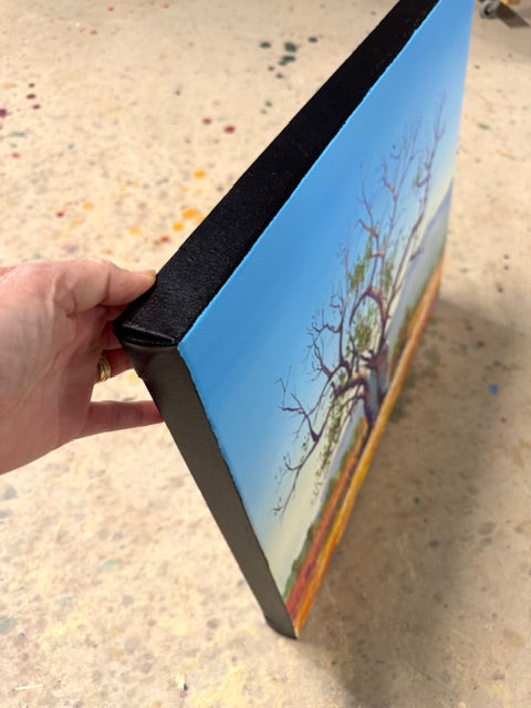 Boab Trees 49