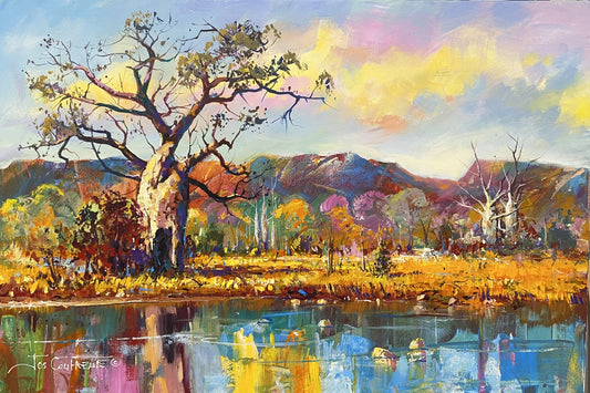 Boab Trees 42
