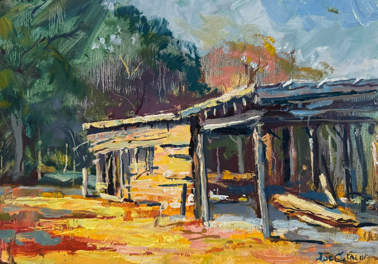 Shed in Ludlow Forest
