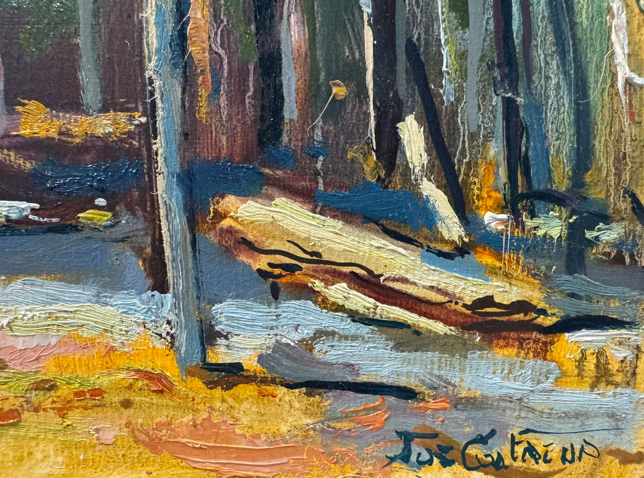 Shed in Ludlow Forest