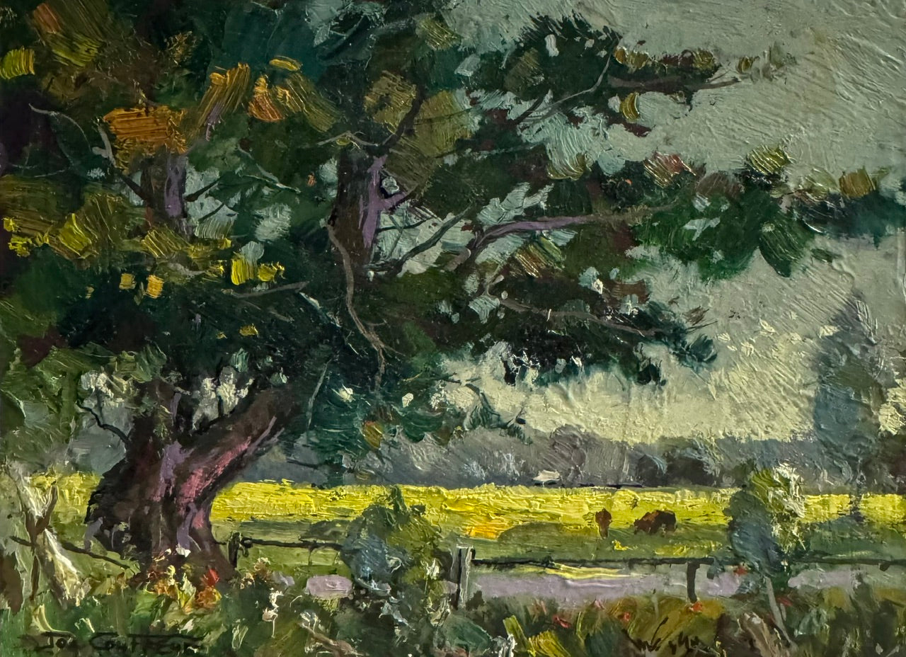 Old Tree on the Farm